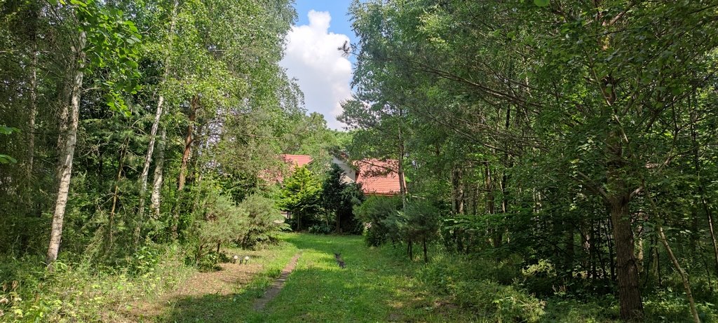 Urokliwy dom 120 m² z ogrodem i stodołą w Ciućkowie Ciućkowo  120m2 Foto 1