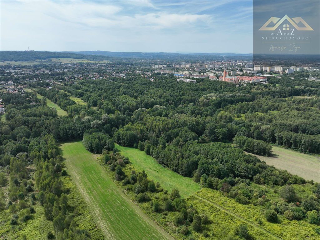 Działka budowlana na sprzedaż Tarnów  5 500m2 Foto 5