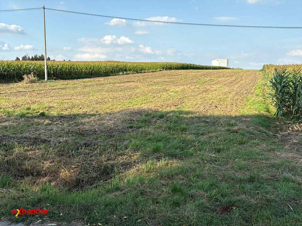 Działka 1,19 ha z mediami, blisko zalewu Szałe - zapraszam Trojanów  11 900m2 Foto 1