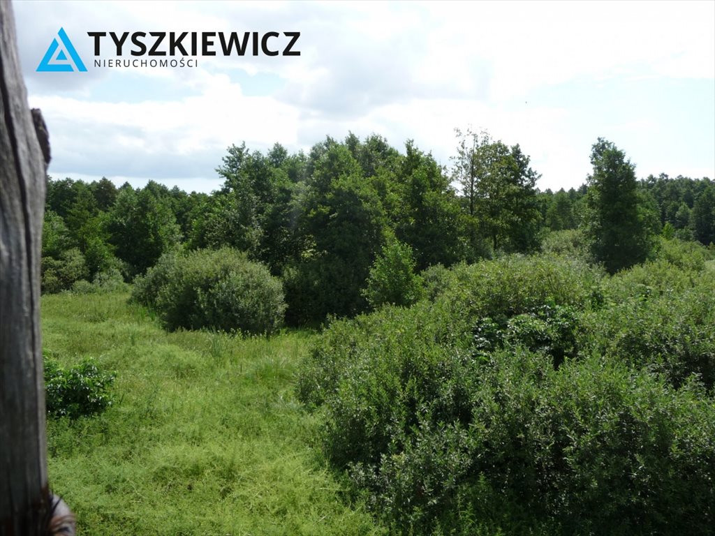 Działka rekreacyjna na sprzedaż Chojnice 15 000m2 Foto 1 Działka rekreacyjna na sprzedaż Chojnice 15 000m2 Foto 1