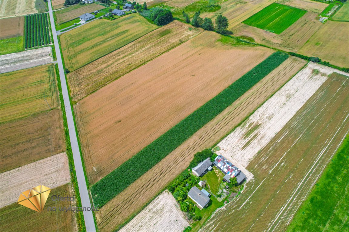 Działka budowlana na sprzedaż Fajsławice  3 900m2 Foto 7