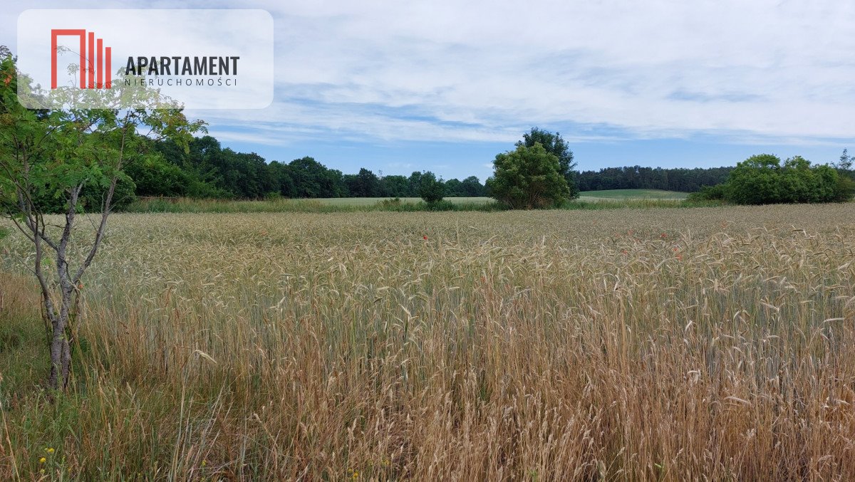 Działka budowlana na sprzedaż Śmiłowo  1 000m2 Foto 3