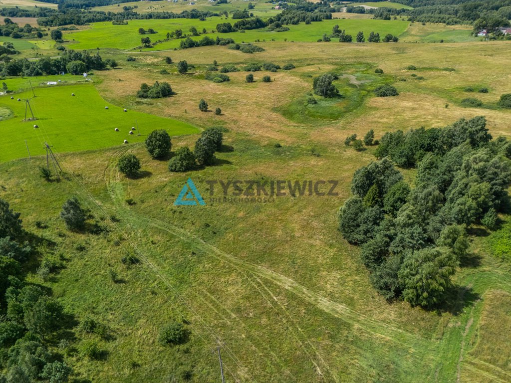Zdjęcie 3