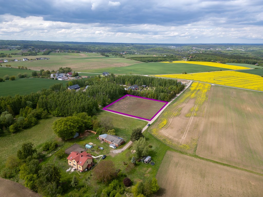 Działka 4982 m² w Lisewcu - prywatność i szerokie możliwości. Lisewiec, Rajska  4 982m2 Foto 1