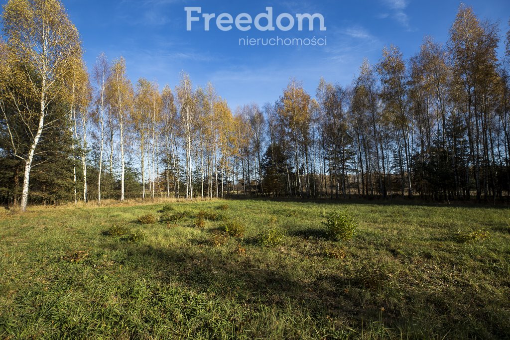 Działka budowlana na sprzedaż Tarnobrzeg, Ocice, Ocicka  2 800m2 Foto 7