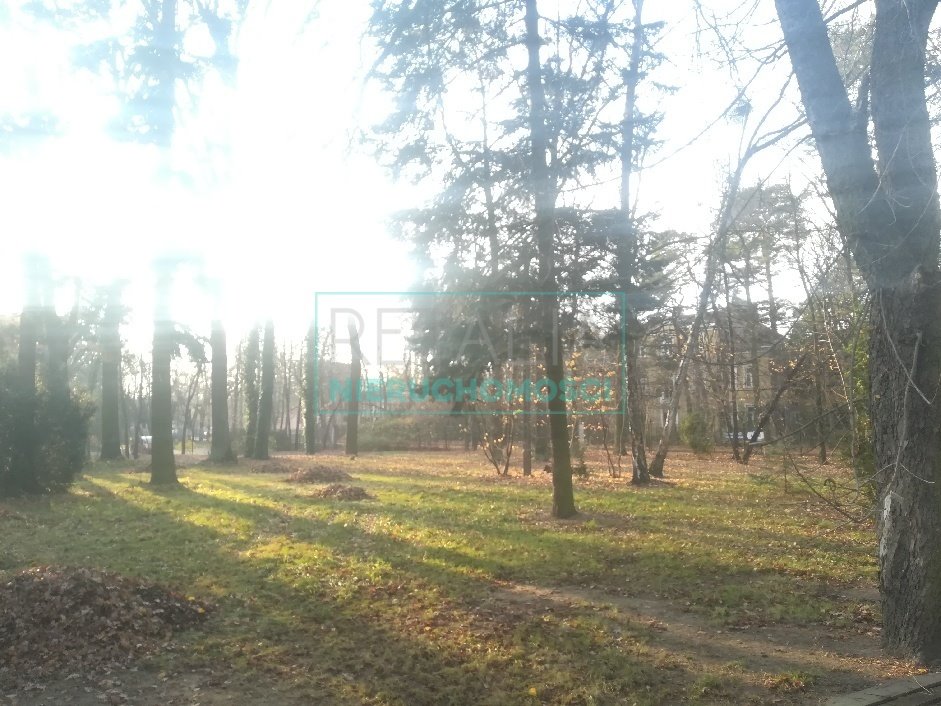 Działka leśna z prawem budowy na sprzedaż Milanówek  5 840m2 Foto 4