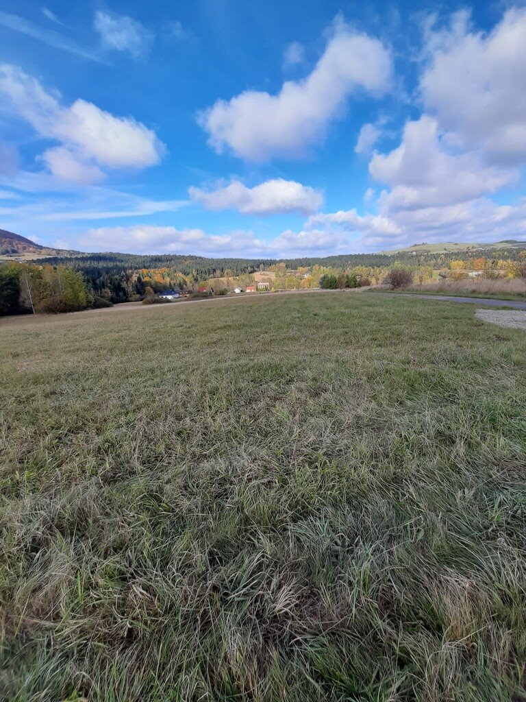 Działka budowlana na sprzedaż Ptaszkowa  1 100m2 Foto 4