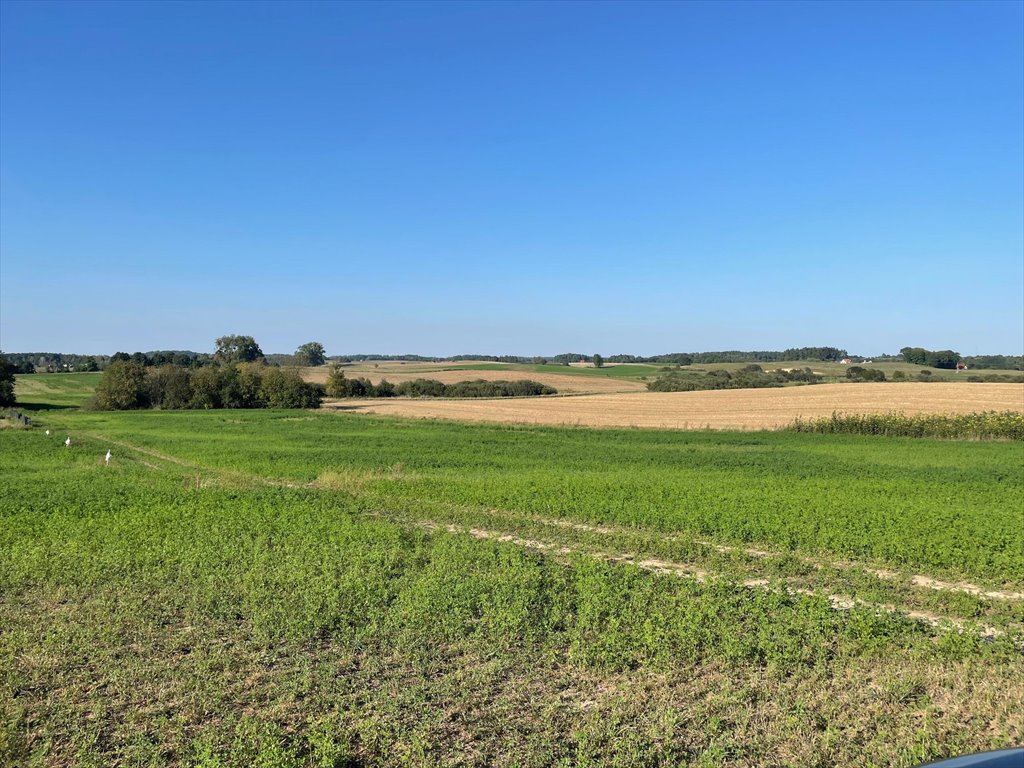 Działka rekreacyjna na sprzedaż Linowo  1 000m2 Foto 6