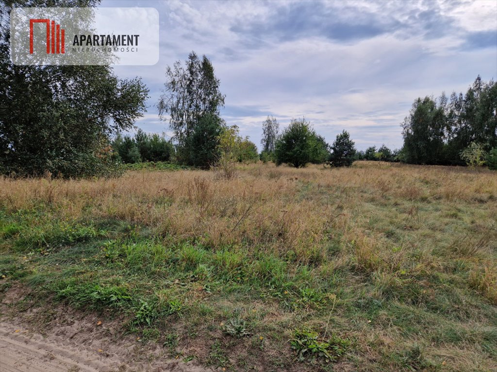 Polecam działkę 2500m² z warunkami zabudowy i dojazdem w Rogowie Rogowo  2 500m2 Foto 1