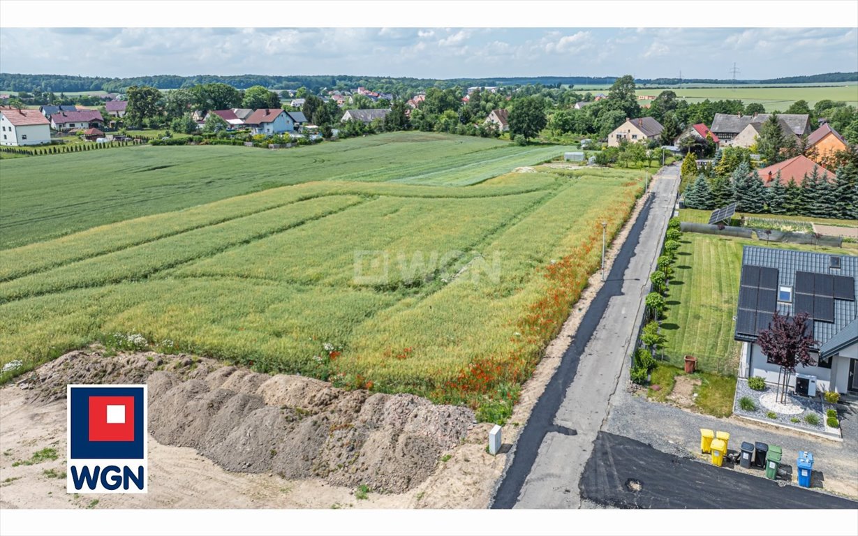 Działka budowlana na sprzedaż Warta Bolesławiecka, Centrum  1 500m2 Foto 2