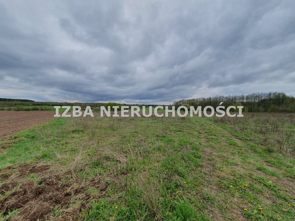 Działka rekreacyjna na sprzedaż Krokocie  3 000m2 Foto 11