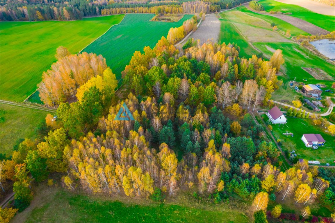 Działka budowlana na sprzedaż Krosnowo  1 579m2 Foto 3