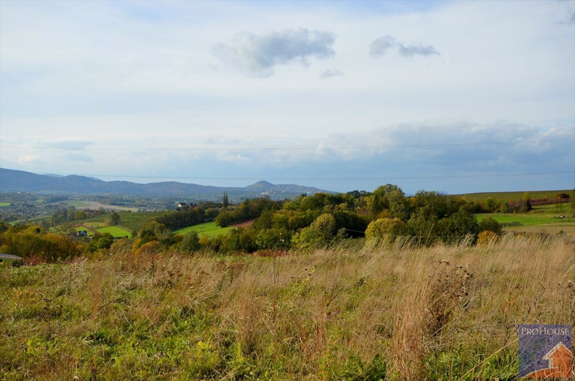 Działka budowlana na sprzedaż Kostrza  5 900m2 Foto 10