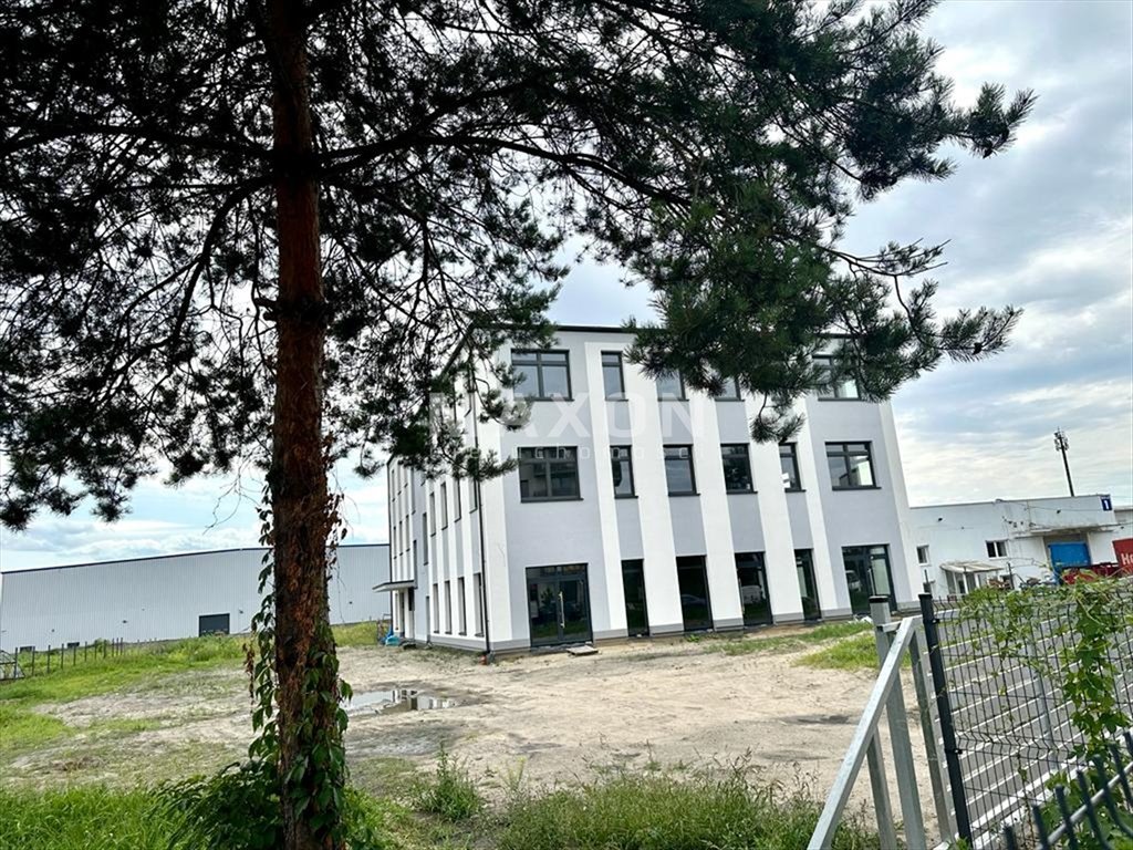 Lokal użytkowy na wynajem Reguły  1 350m2 Foto 2