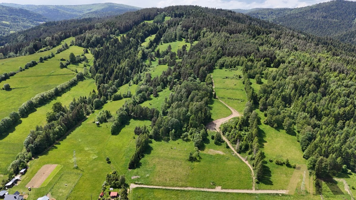 Działka rolna na sprzedaż Nowa Wieś  38 500m2 Foto 2