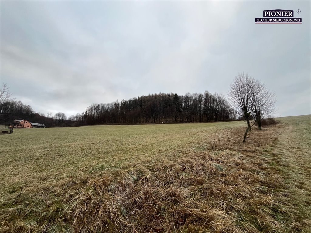 Działka budowlana na sprzedaż Ustroń  3 000m2 Foto 3