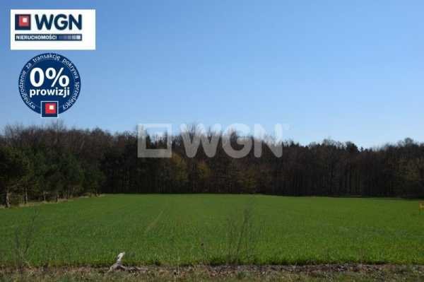 Działka budowlana na sprzedaż Machowino, Słupsk, Machowino 7 500m2 Foto 1 Działka budowlana na sprzedaż Machowino, Słupsk, Machowino 7 500m2 Foto 1