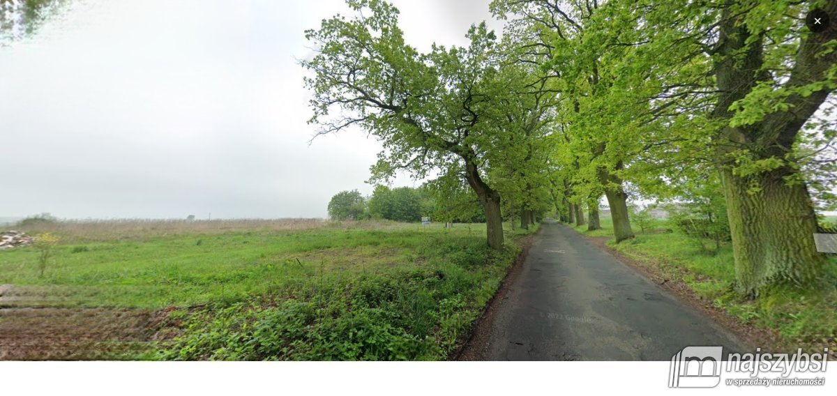 Działka budowlana na sprzedaż Tarnówko  3 200m2 Foto 2