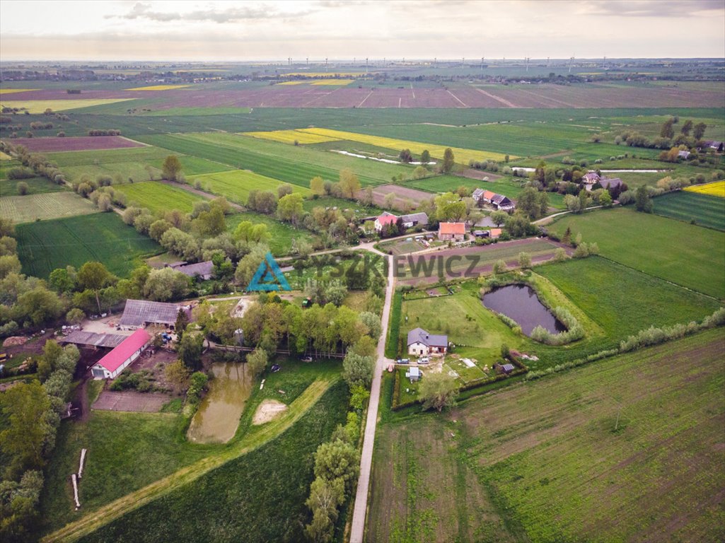 Działka rolna na sprzedaż Nowy Dwór Gdański  3 200m2 Foto 5