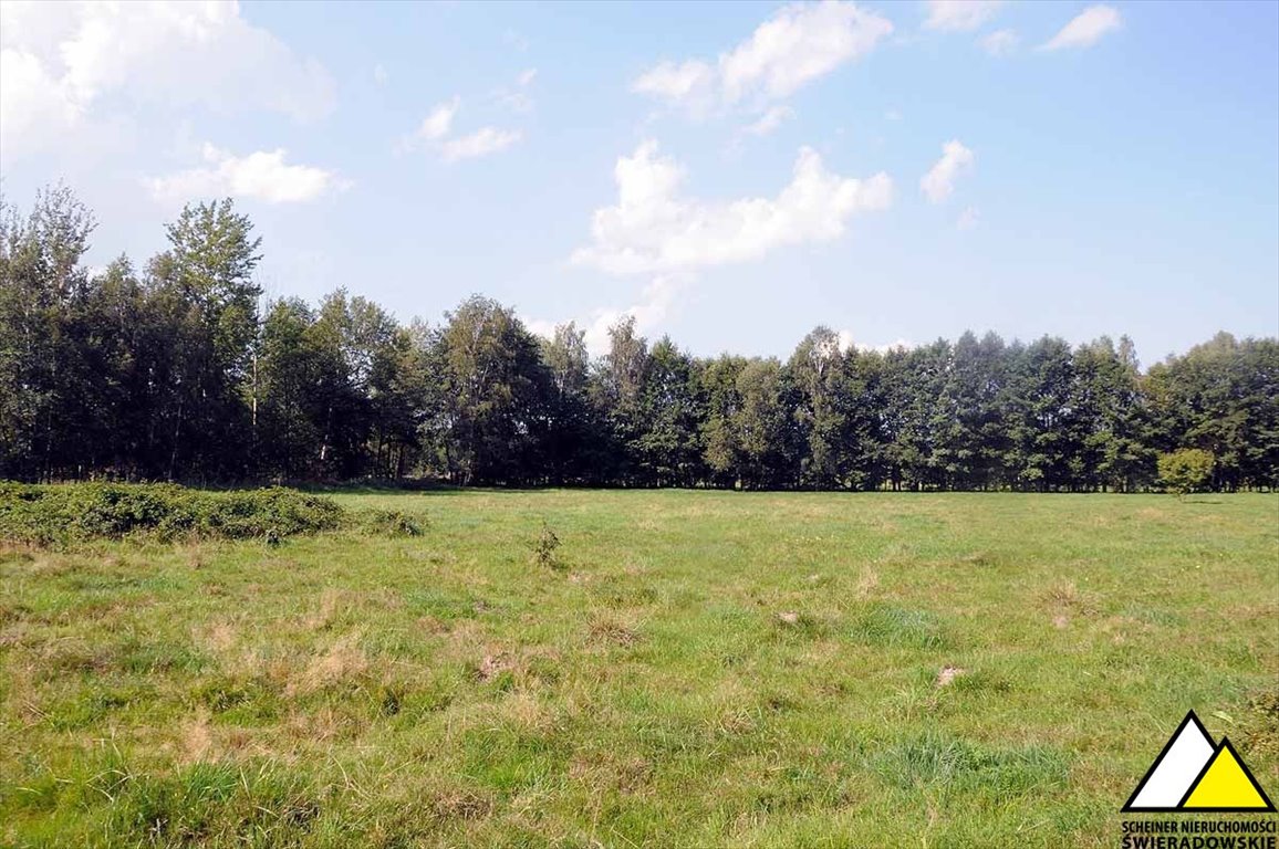 Działka rekreacyjna na sprzedaż Kamień  6 100m2 Foto 9