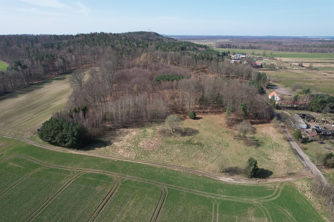 Działka rolna na sprzedaż Rzuski Las, Rzuski Las  5 008m2 Foto 3