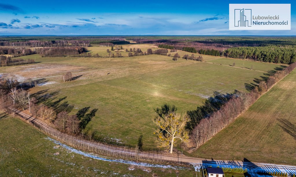 Działka budowlana na sprzedaż Wyżegi  1 794m2 Foto 6