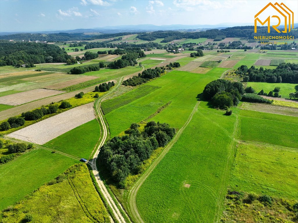 Działka inna na sprzedaż Szerzyny  10 100m2 Foto 8