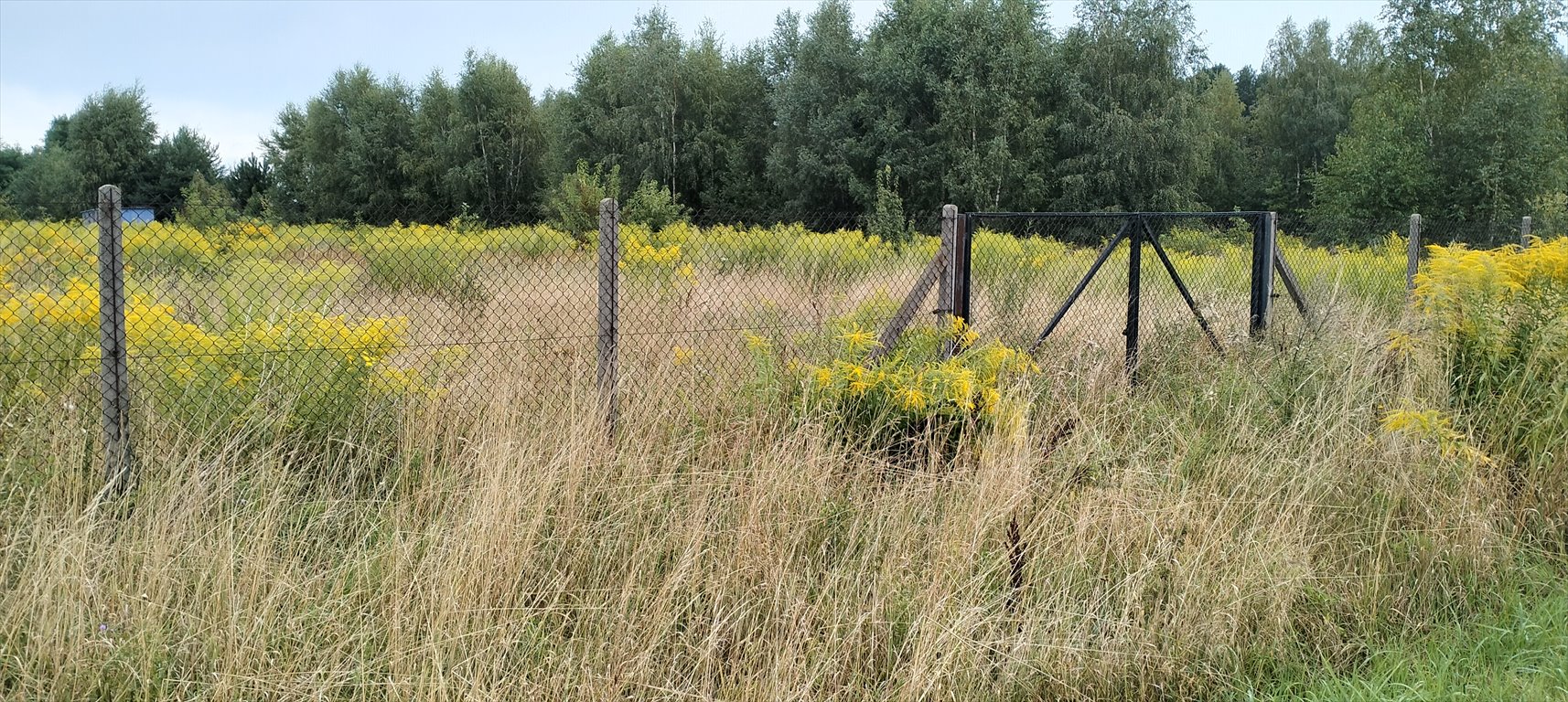 Działka budowlana na sprzedaż Mzyki, Polna  8 400m2 Foto 3