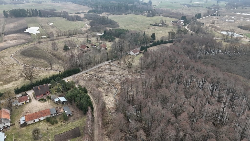 Działka rolna na sprzedaż Rogojny  3 000m2 Foto 5