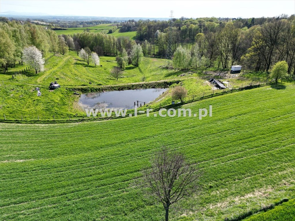 Działka rolna na sprzedaż Kornowac  39 203m2 Foto 4
