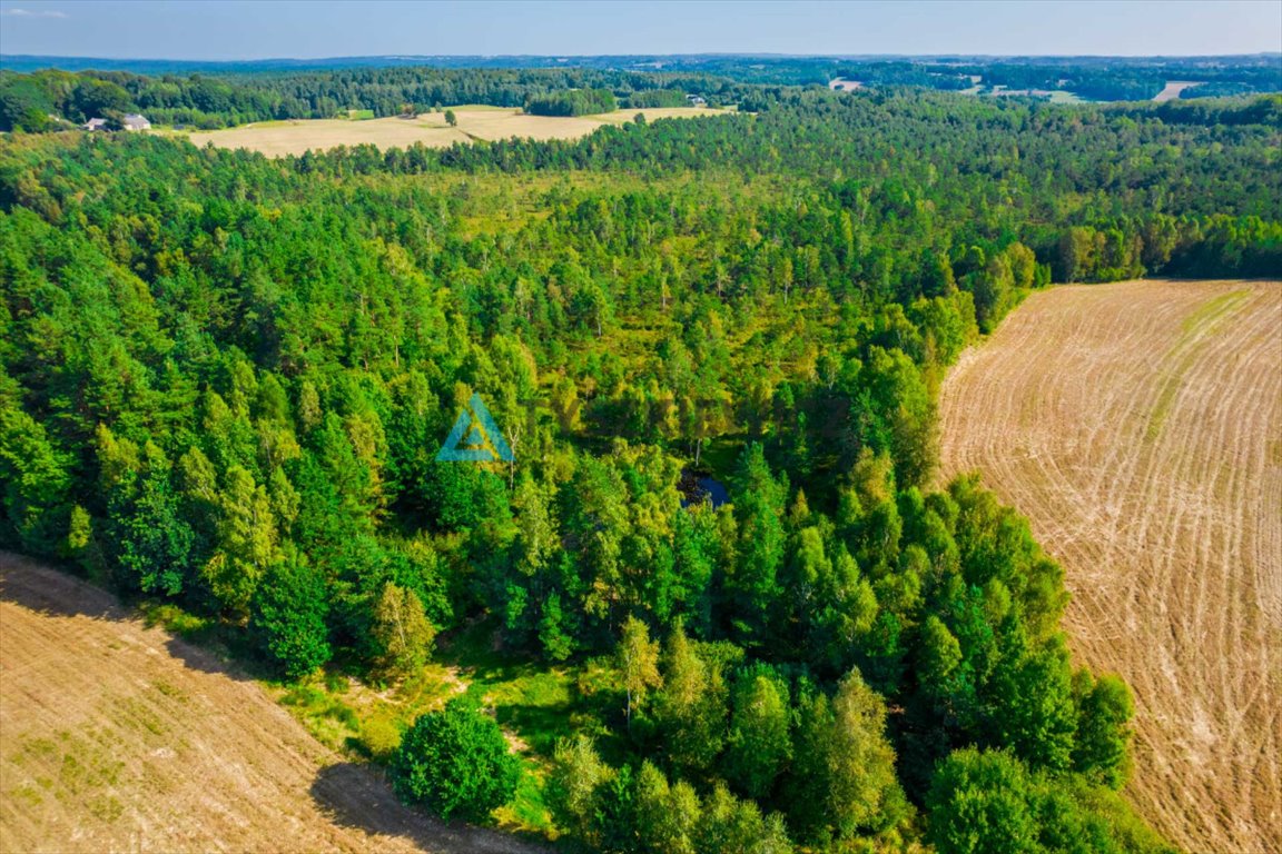 Działka leśna na sprzedaż Staniszewo  7 300m2 Foto 8