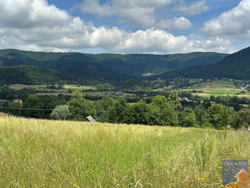 Działka budowlana na sprzedaż Pisarzowa  7 200m2 Foto 2