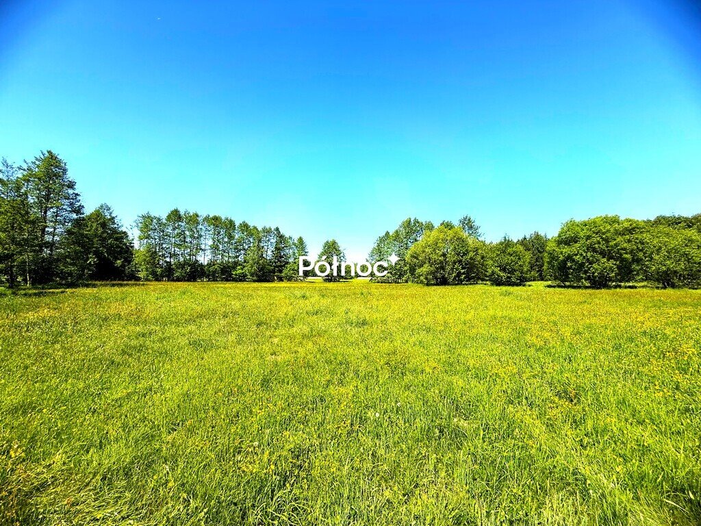 Działka 2632 m² w Borzykówce – idealna pod dom lub inwestycję Borzykówka  2 632m2 Foto 1