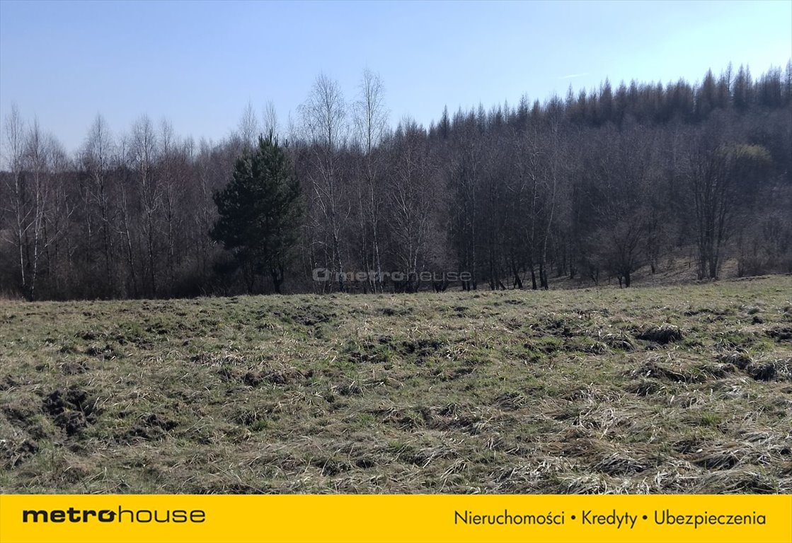 Działka budowlana na sprzedaż Zawiercie, Jurajska  25 700m2 Foto 2