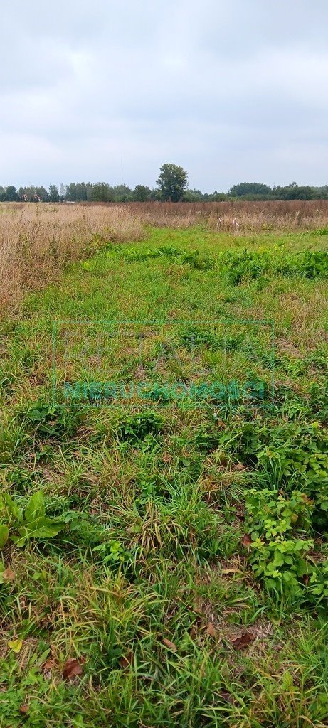 Działka budowlana na sprzedaż Kosów  1 036m2 Foto 1