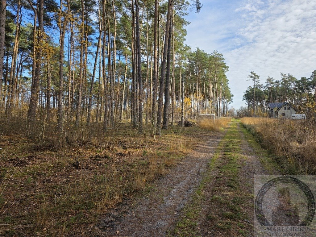 Działka 1646 m2 900 m od morza, las i spokój. Dziwnów  1 646m2 Foto 1