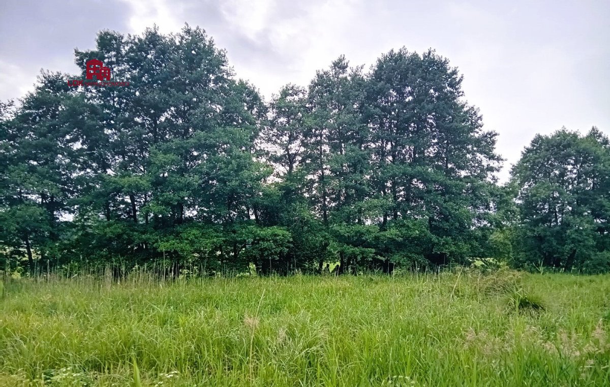 Działka leśna na sprzedaż Kębłowo  14 300m2 Foto 14