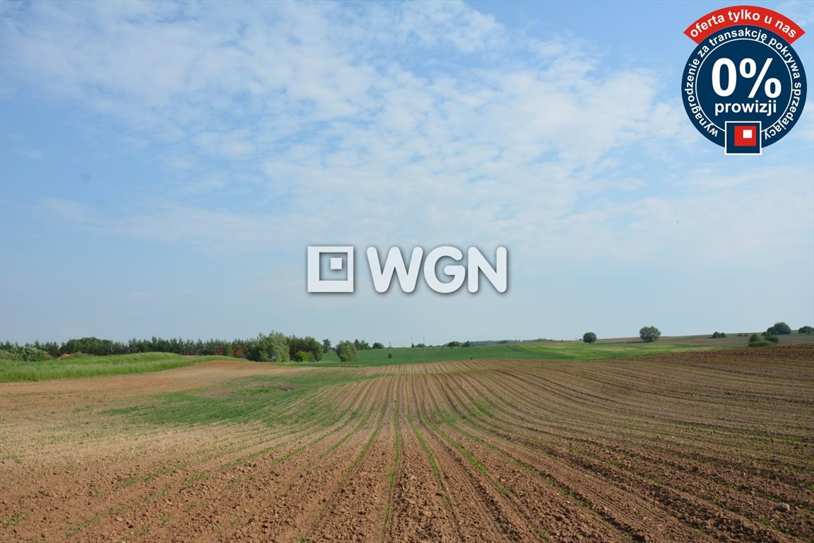 Działka budowlana na sprzedaż Koziki  2 200m2 Foto 6