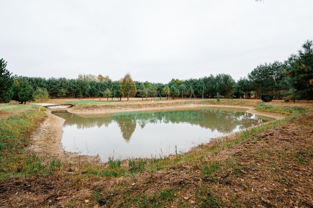 Działka budowlana na sprzedaż Podlasie  12 000m2 Foto 3