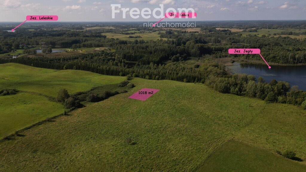 Działka rekreacyjna na sprzedaż Elganowo  1 018m2 Foto 1