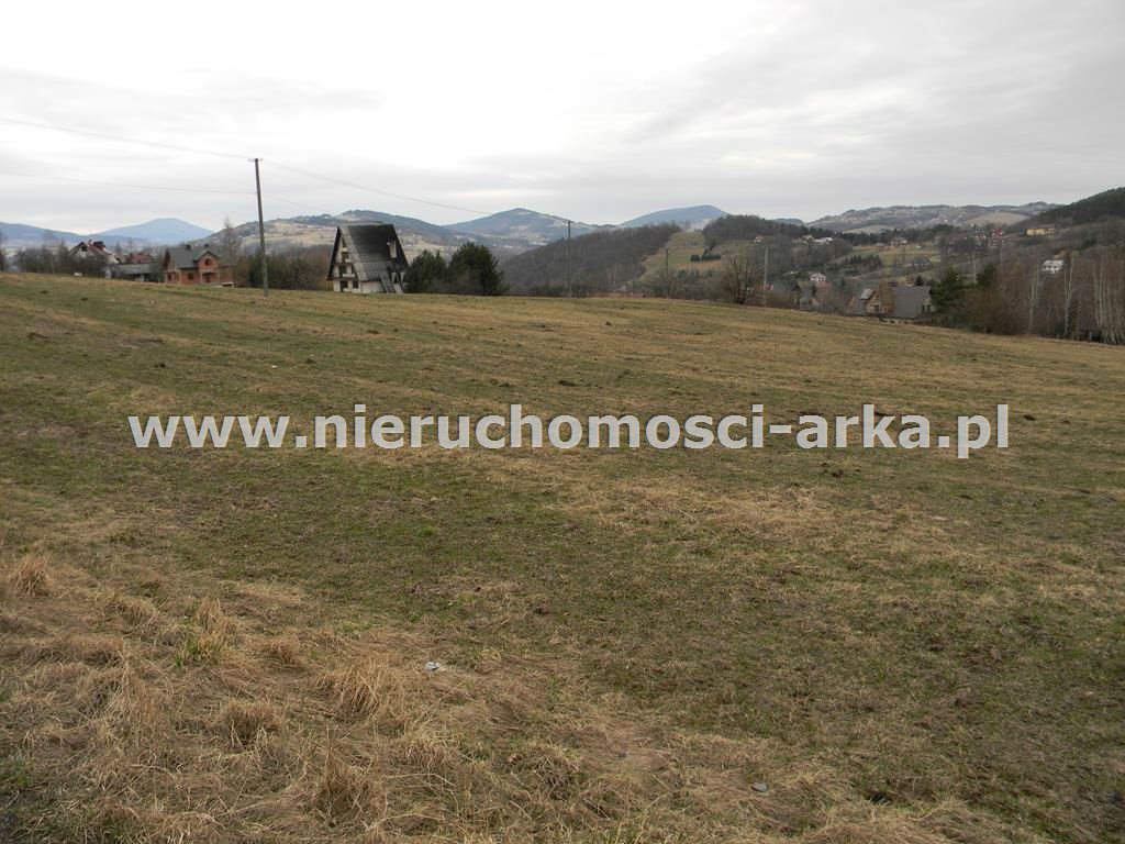 Działka budowlana na sprzedaż Sowliny 3 000m2 Foto 1 Działka budowlana na sprzedaż Sowliny 3 000m2 Foto 1