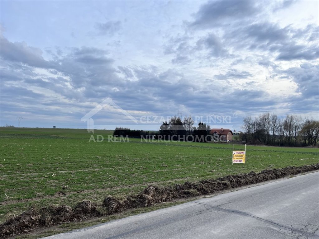 Działka budowlana na sprzedaż Bogucin, Bogucin  1 800m2 Foto 5