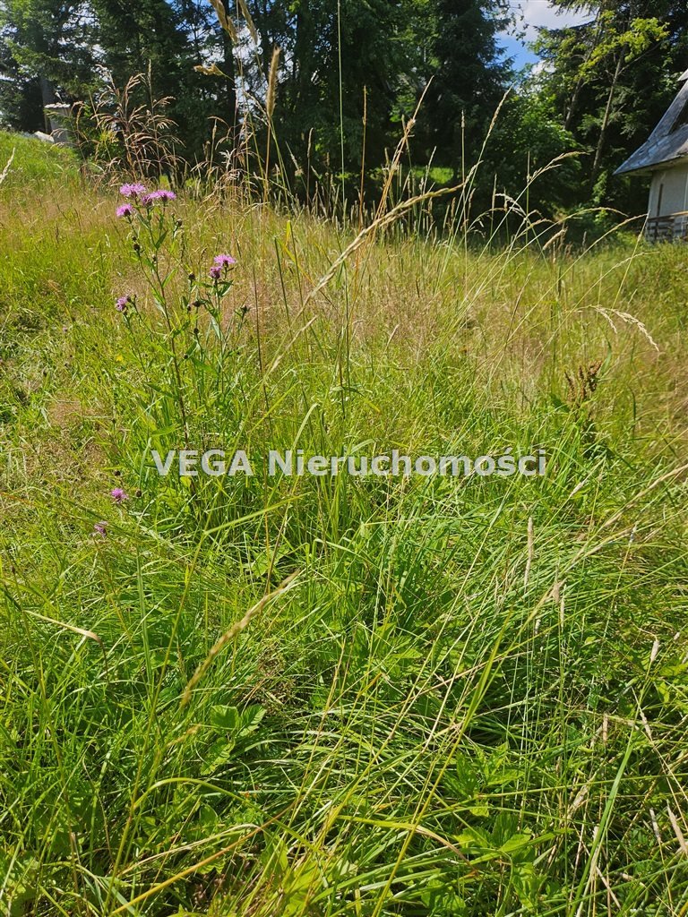 Zdjęcie 7