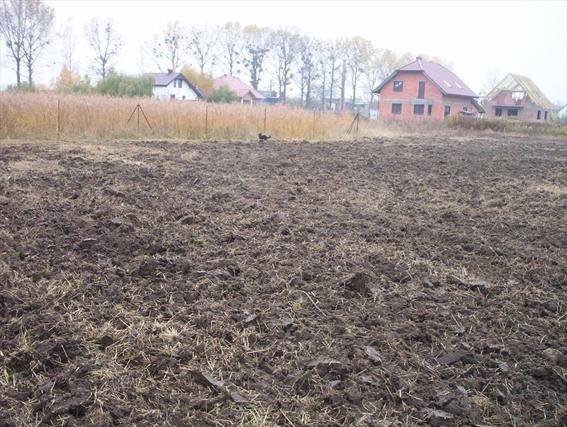 Działka usługowo-przemysłowa 3000 m² z mediami i możliwością usług hotelowych Szewce  3 000m2 Foto 1