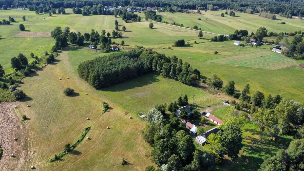 Działka budowlana na sprzedaż Stare Budy  1 017m2 Foto 6