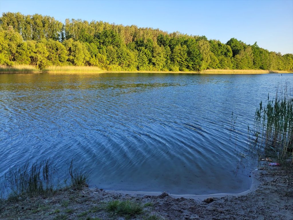 Kawalerka na wynajem Dzierżążno, Kartuska  35m2 Foto 10