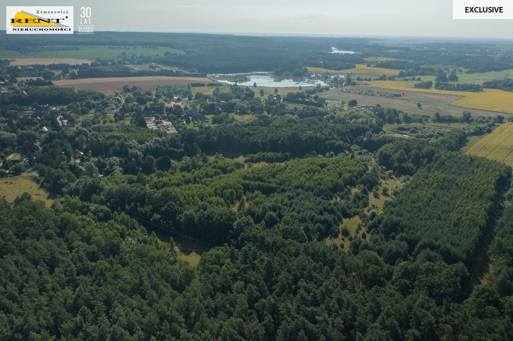 Działka rolna na sprzedaż Binowo  11 614m2 Foto 6