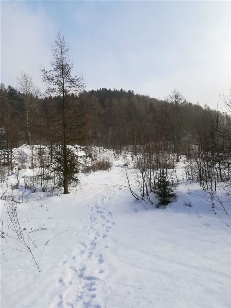 Działka inna na sprzedaż Boguszów-Gorce  3 000m2 Foto 14