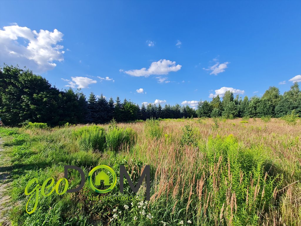 Działka 2769 m² pod inwestycję, media, plan zagospodarowania Niemce, Ignacego Bonawentury Budnego  2 769m2 Foto 1