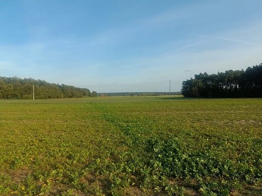Działki budowlane 1000 i 1500 m² w Skrzatkach, spokojna okolica Godziesze Wielkie, Skrzatki  1 000m2 Foto 1